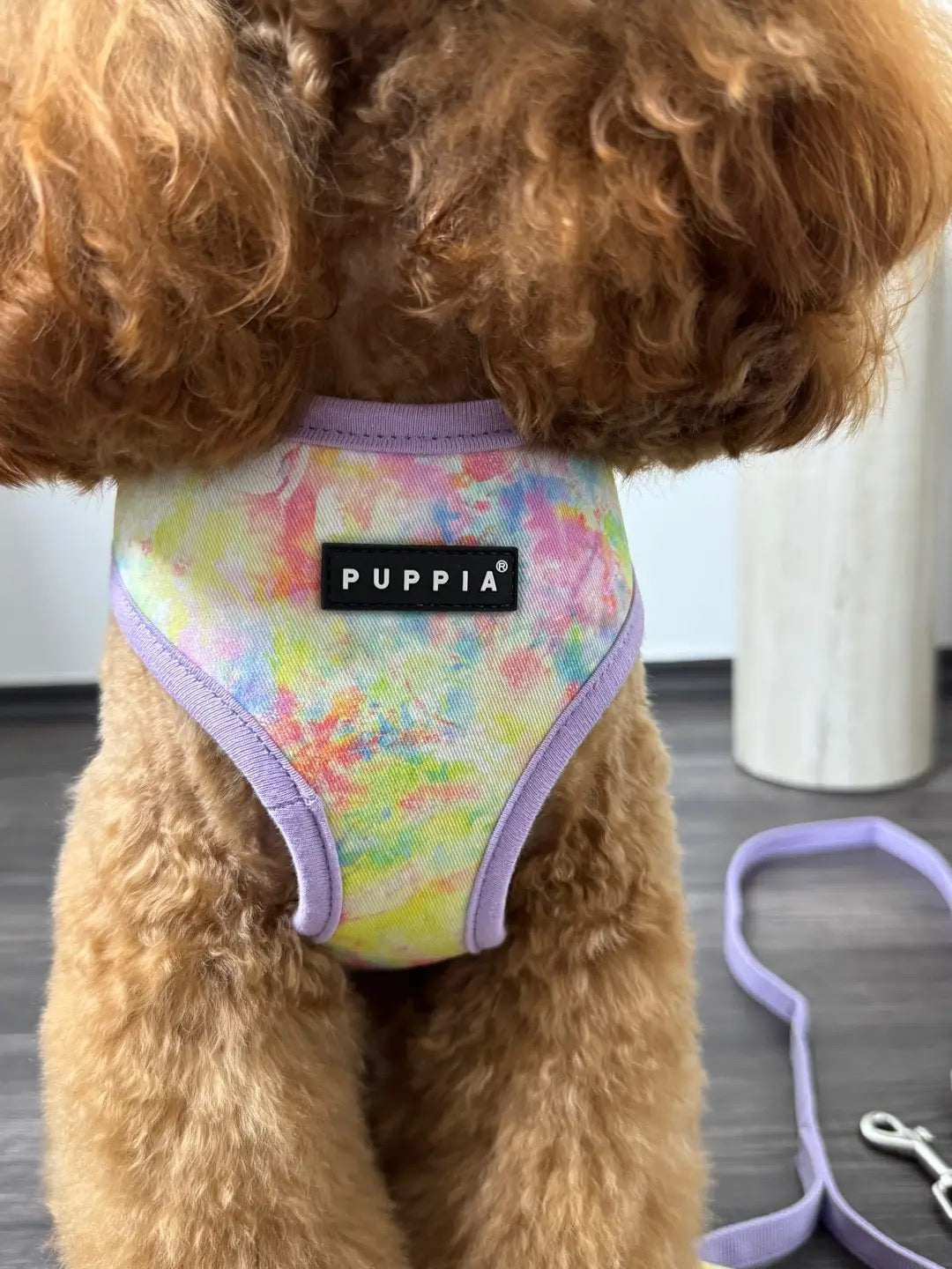 Puppia Nola Geschirr + Leine