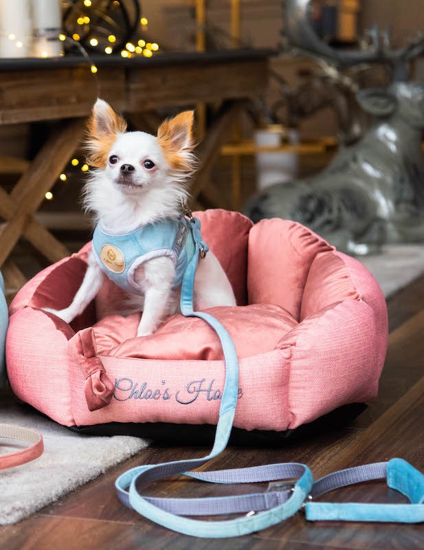 Chloé's Home Bahamas pinkes Hundebett