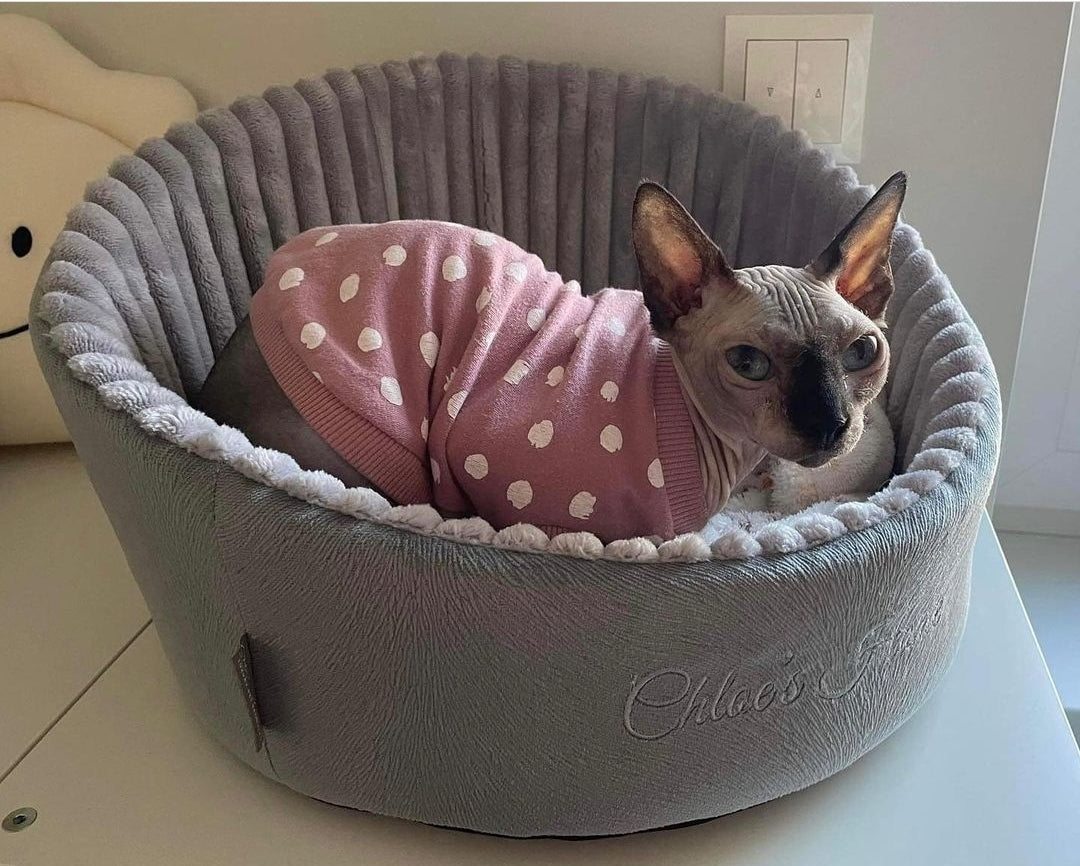 Chloé's Home 2-in-1-Katzenbett