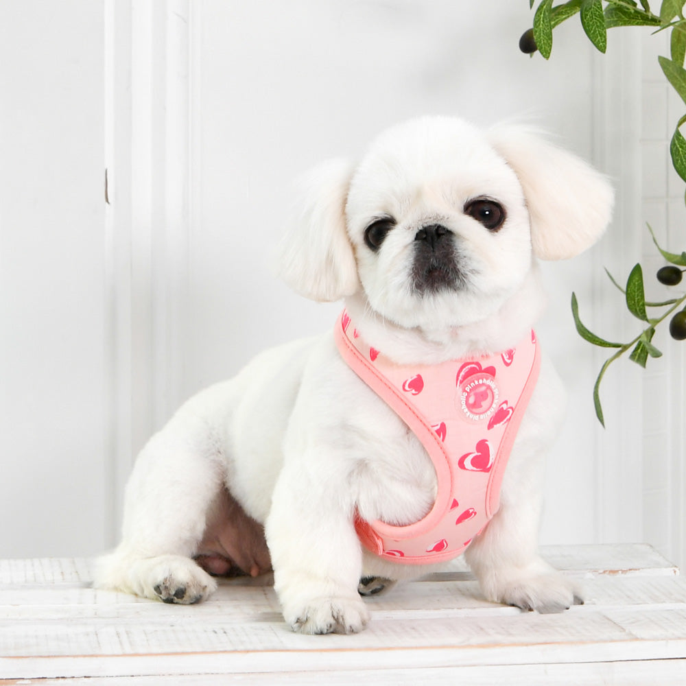 Pinkaholic Loveday dog harness