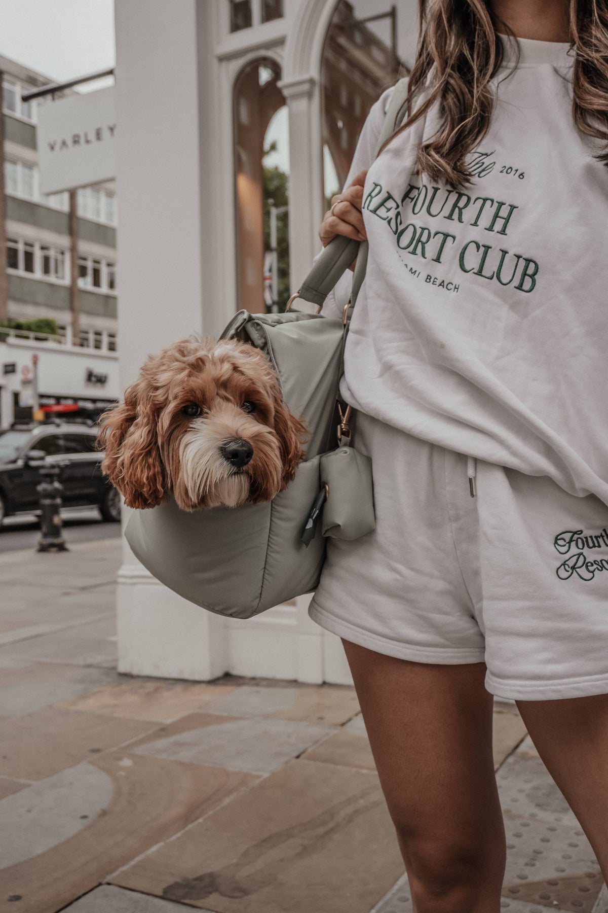 By Teddy The Puffer Carrier Matcha - Hundetragetasche