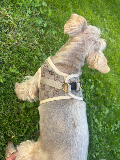Modisches Hundegeschirr in Beige
