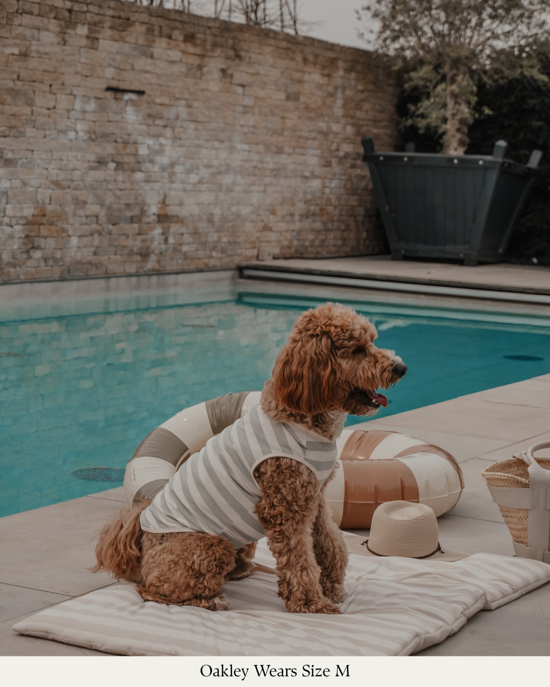 By Teddy Kühlweste für Hunde in Matcha