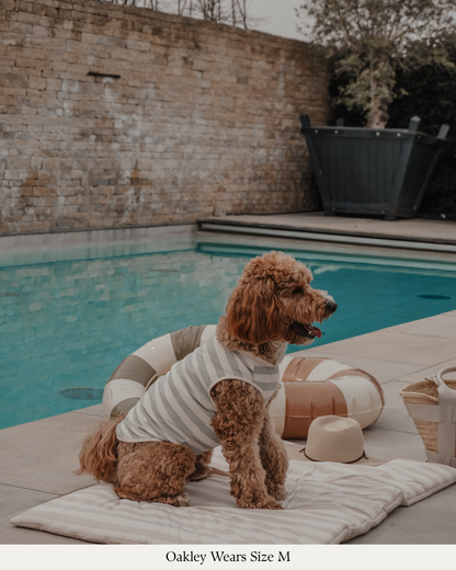 By Teddy Kühlweste für Hunde in Matcha