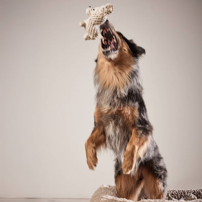 Laboni TAPSI – Puppy Charm dog toy