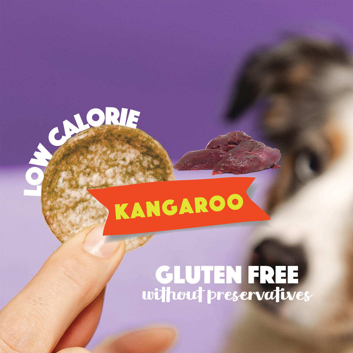 Smoofl hypoallergene Chips mit Kängurufleisch für Hunde