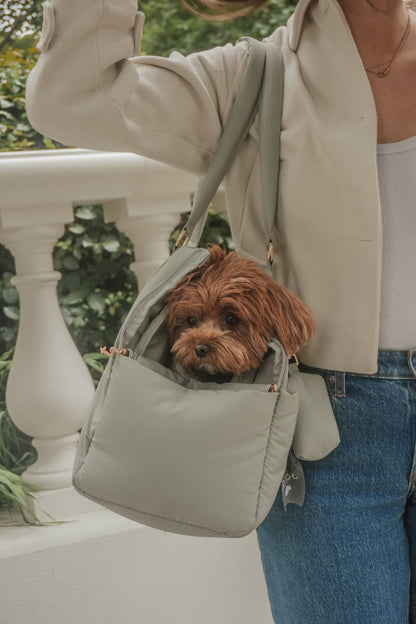 By Teddy The Puffer Carrier Matcha - Hundetragetasche