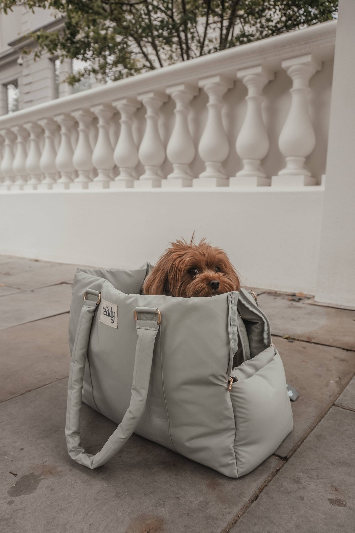 By Teddy The Puffer Carrier Matcha - Hundetragetasche