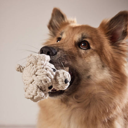 Laboni TAPSI – Puppy Charm dog toy