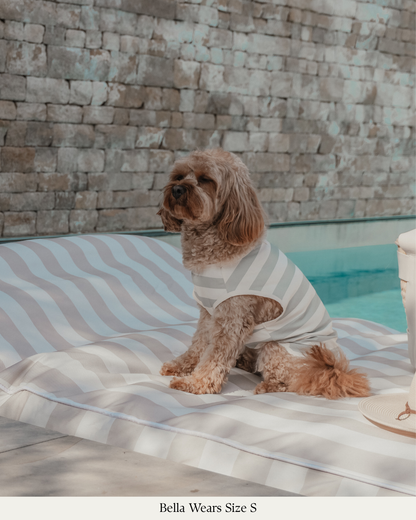 By Teddy Kühlweste für Hunde in Matcha