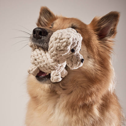 Laboni TAPSI – Puppy Charm dog toy