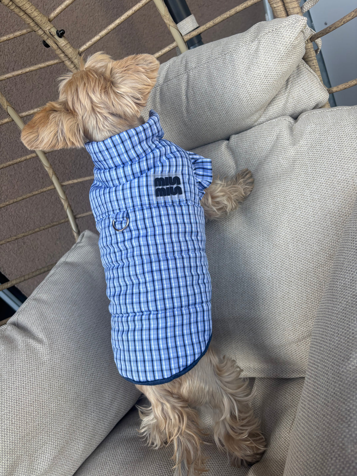 Gefütterter, eleganter Wintermantel für Hunde