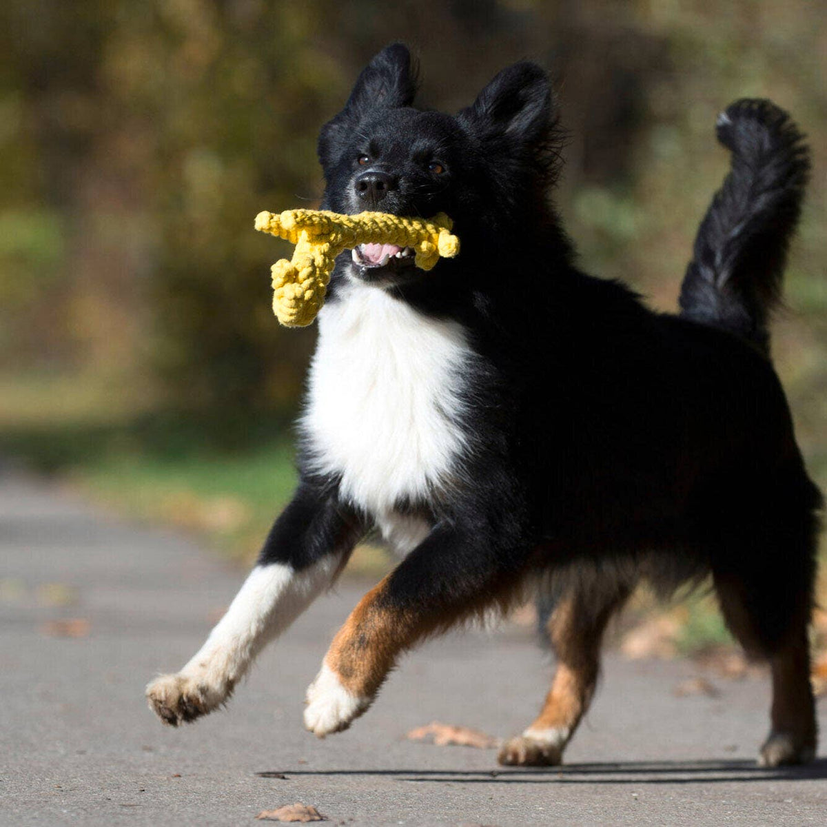 Laboni Giraffen-Hundespielzeug