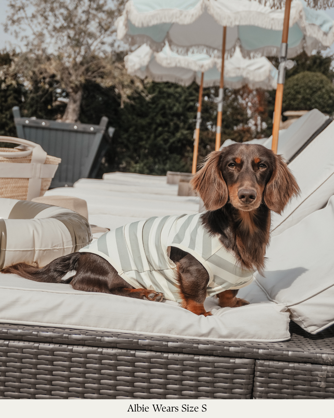 By Teddy Kühlweste für Hunde in Matcha