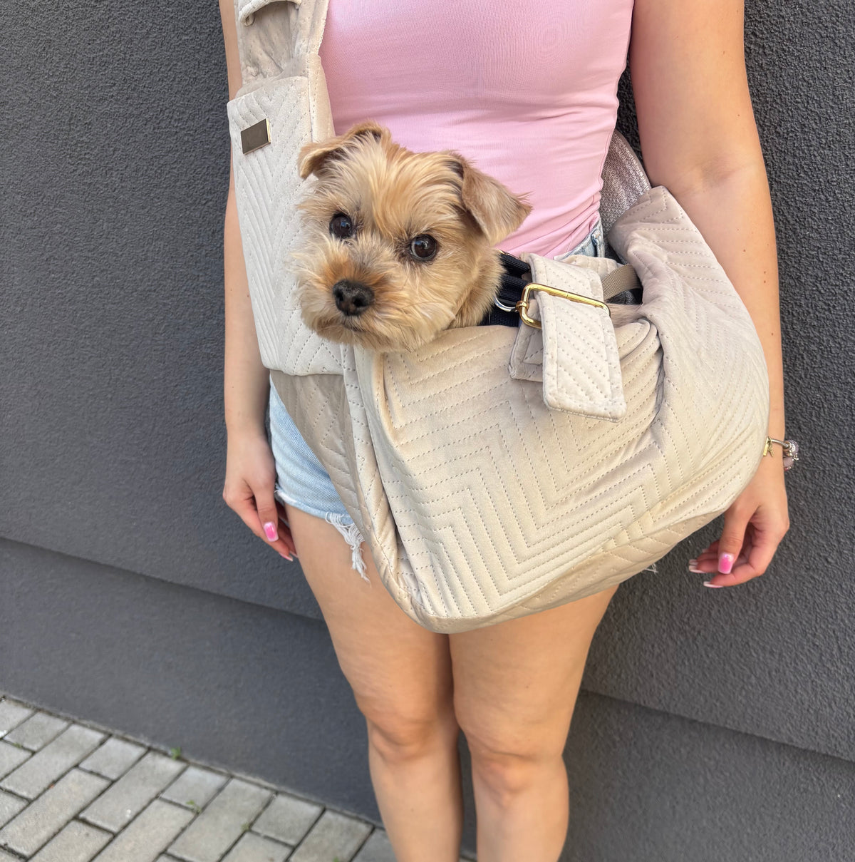Elite Puppy Velvet Hundetragetasche