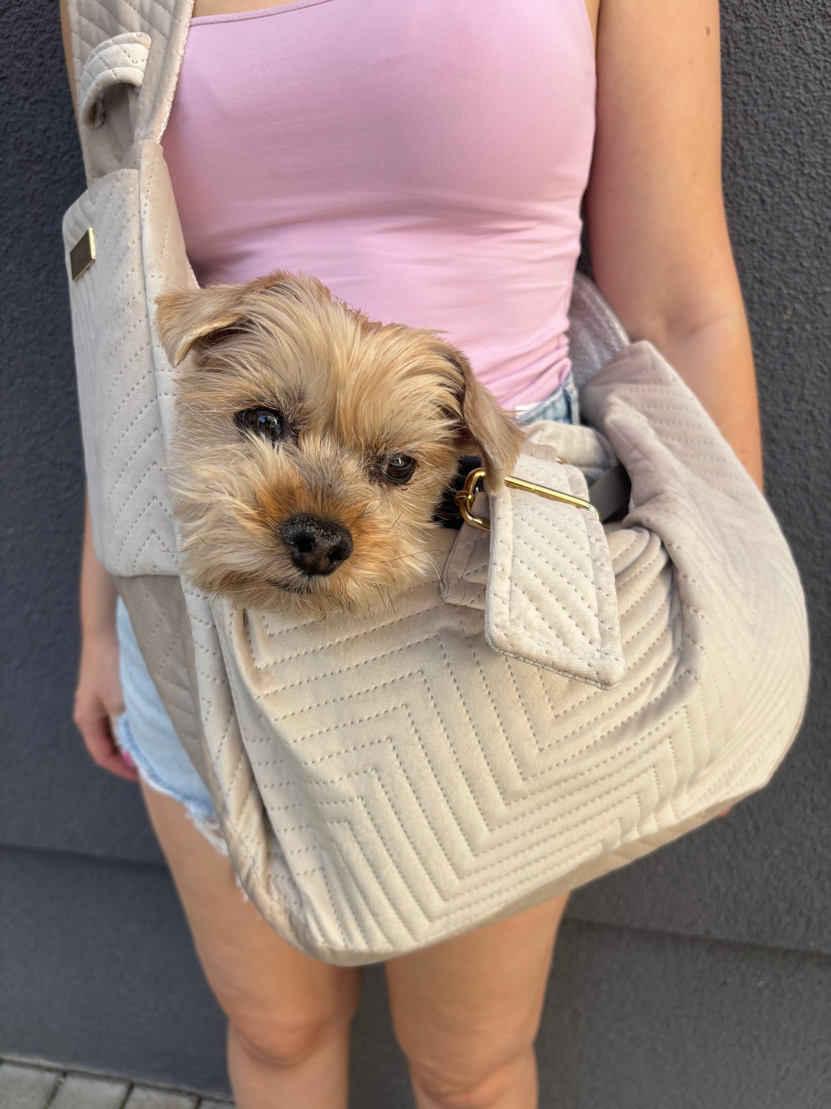 Elite Puppy Velvet Hundetragetasche