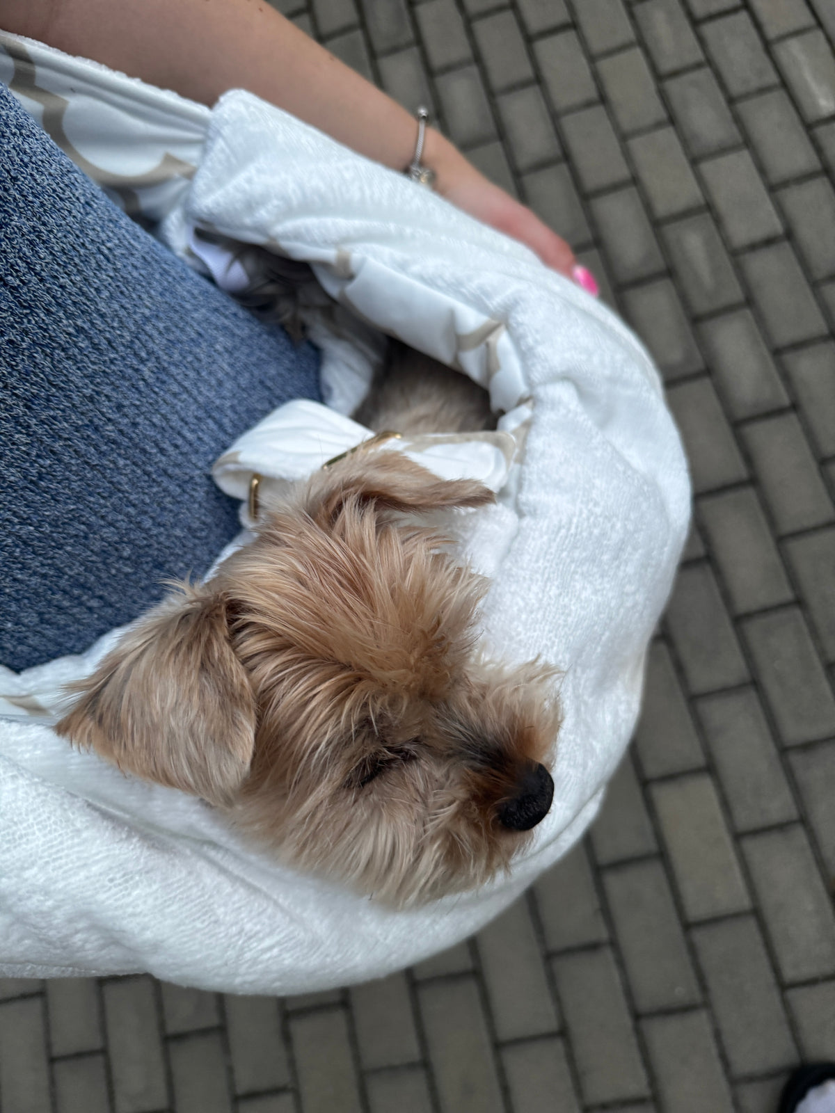 Elite Puppy Velvet weiße Tragetasche