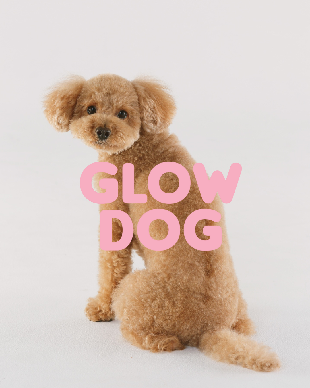 Glow Dog 2-in-1 Vitamin-Shampoo & Conditioner für Hunde