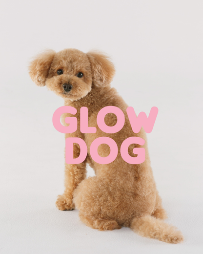 Glow Dog 2-in-1 Vitamin-Shampoo & Conditioner für Hunde