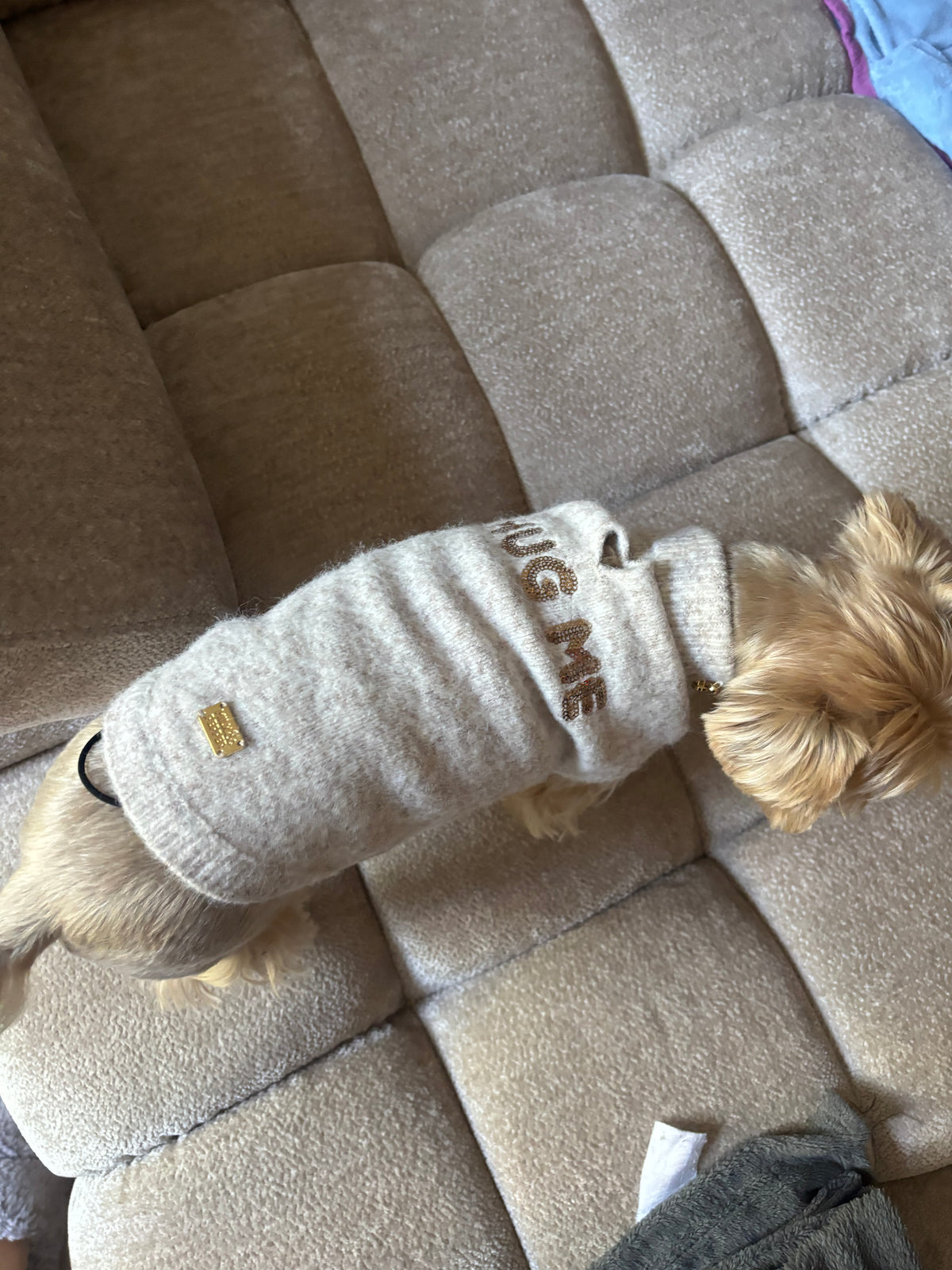 Milk and pepper Carlotta Hundebekleidung in Beige