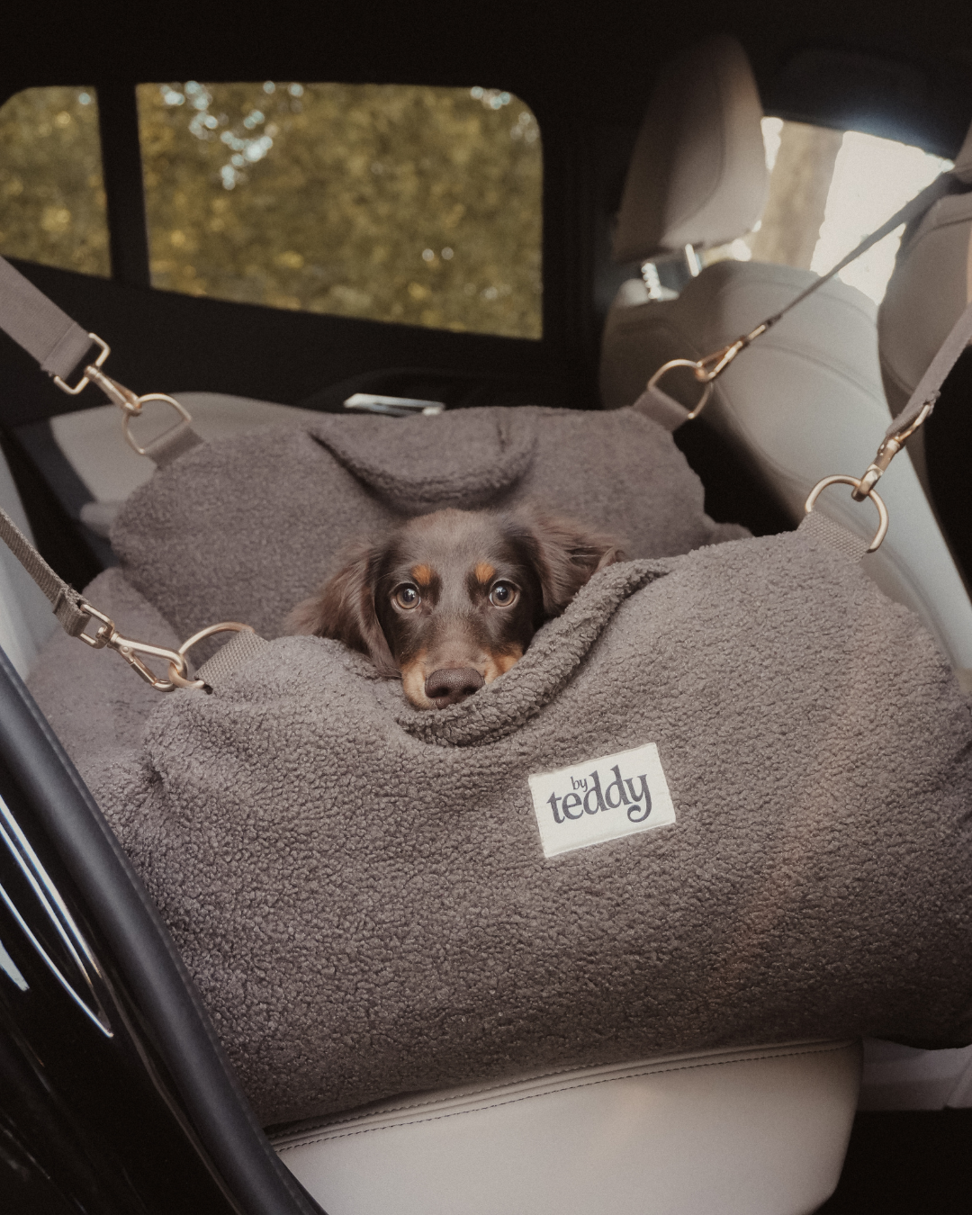 ByTeddy braune Cosy 3-in-1-Trage, Autositz und Schlafplatz