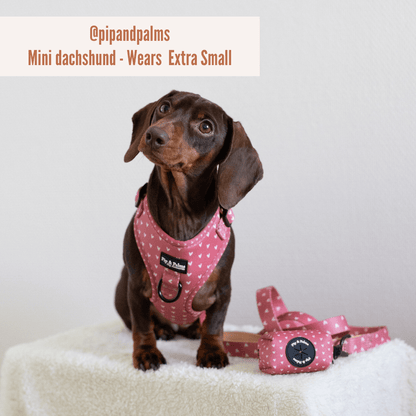 Pip and Palms Love is in the Air Hundegeschirr