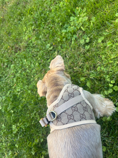 Modisches Hundegeschirr in Beige