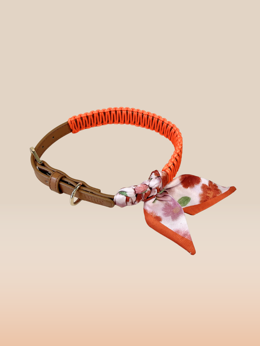 Blue Pup Hundehalsband mit geflochtenem Tuch