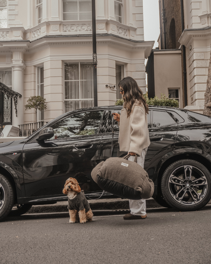 ByTeddy braune Cosy 3-in-1-Trage, Autositz und Schlafplatz