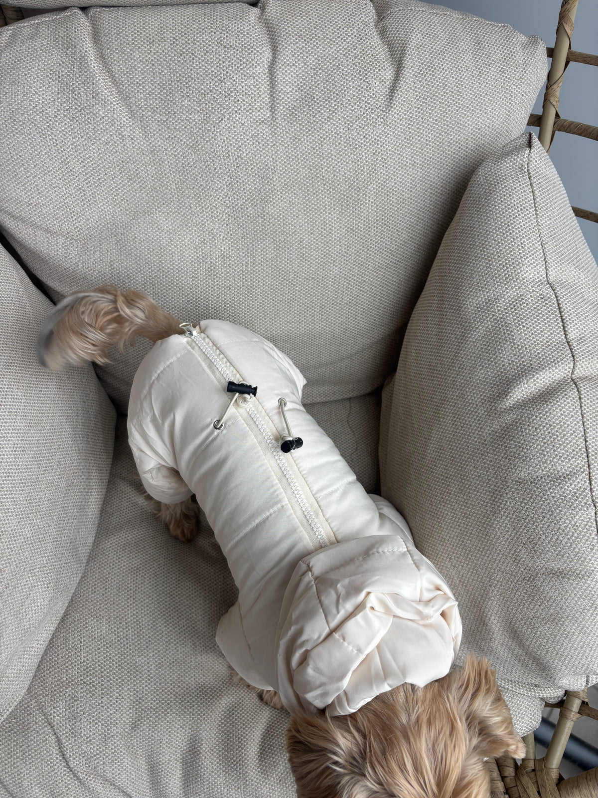 Beiger Hundemantel im Overall-Stil