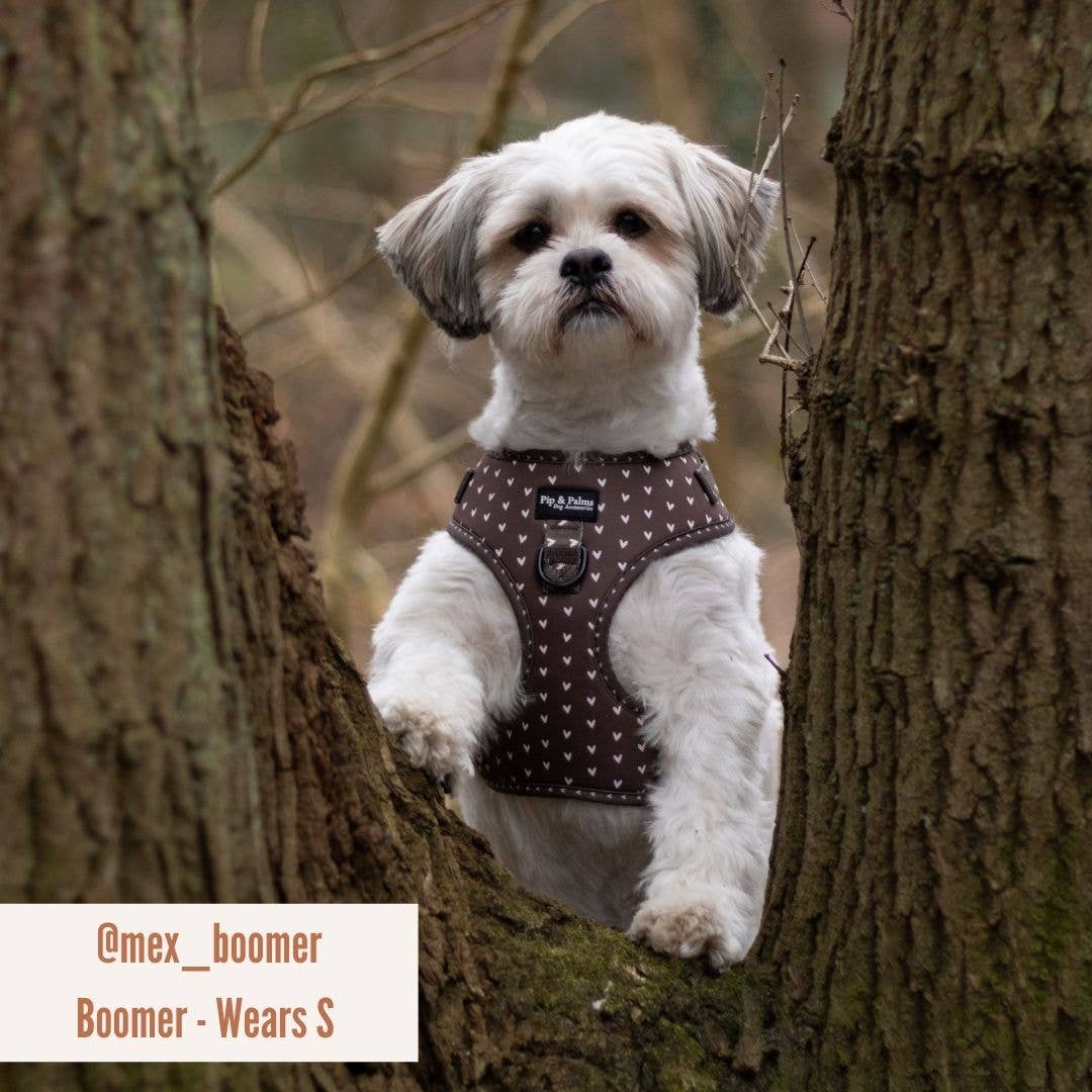 Pip and Palms - Choco Loco Love Hundegeschirr