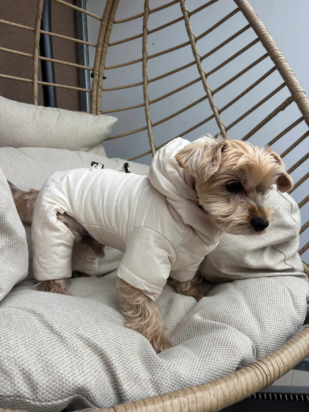 Beiger Hundemantel im Overall-Stil