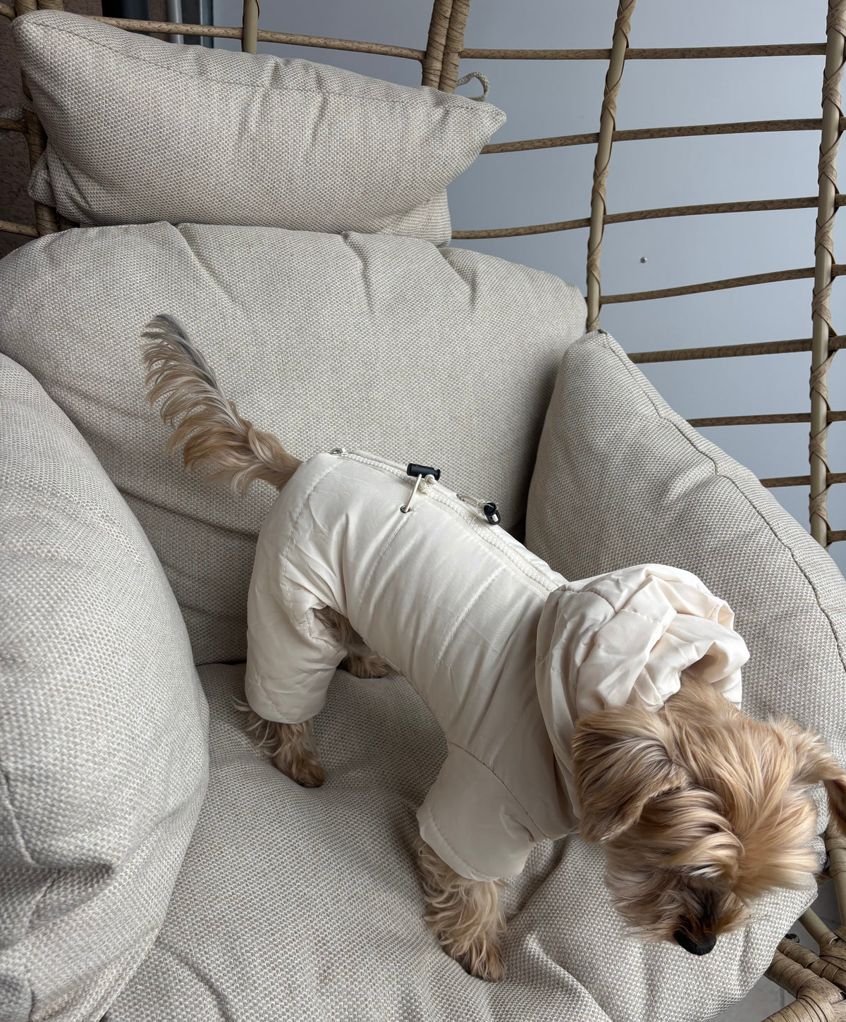 Beiger Hundemantel im Overall-Stil