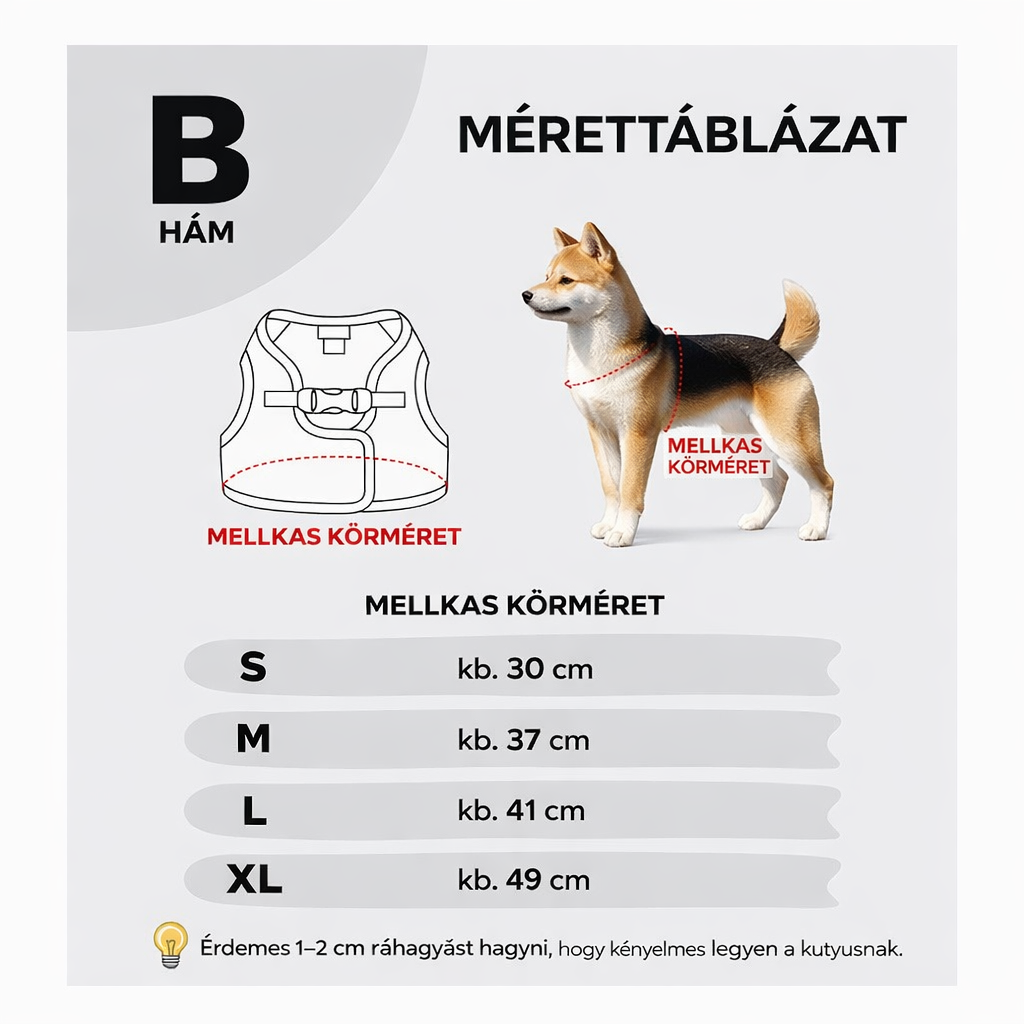 Puppia Nola Hundegeschirr- und Leinenset