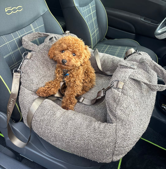Staey Tova 2-in-1-Autositz für Hunde