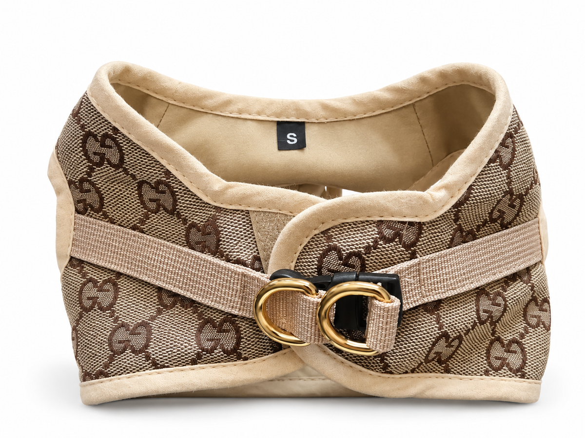 Modisches Hundegeschirr in Beige