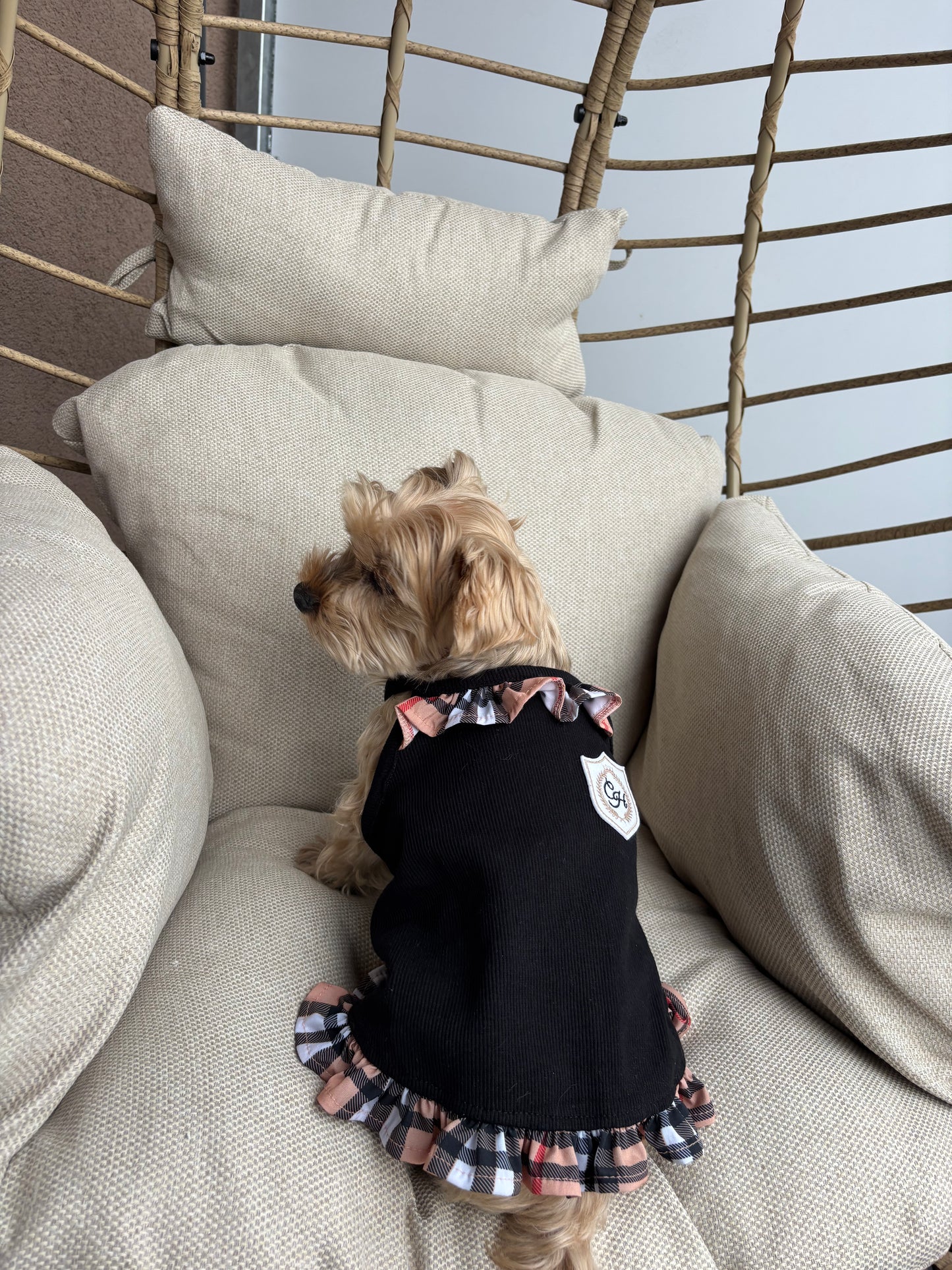 Chloé's Home Milan black dog dress