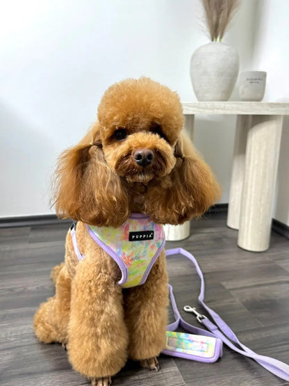 PUPPIA spring/summer dog harness
