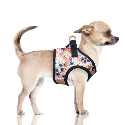 Milk & Pepper Hundegeschirr mit Blumenmuster