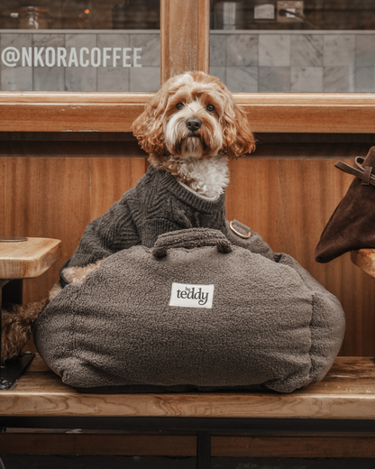 ByTeddy braune Cosy 3-in-1-Trage, Autositz und Schlafplatz