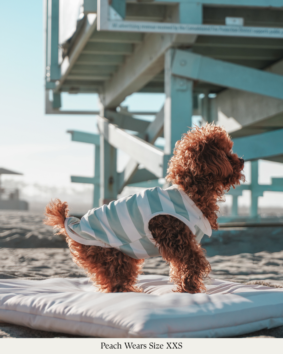 By Teddy Kühlweste für Hunde in Matcha