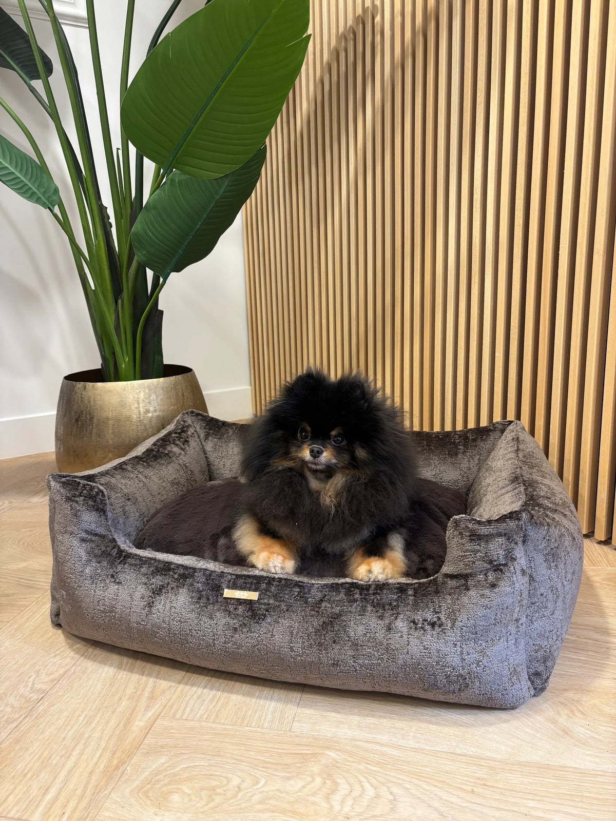 Elite Puppy Samt-Hundebett