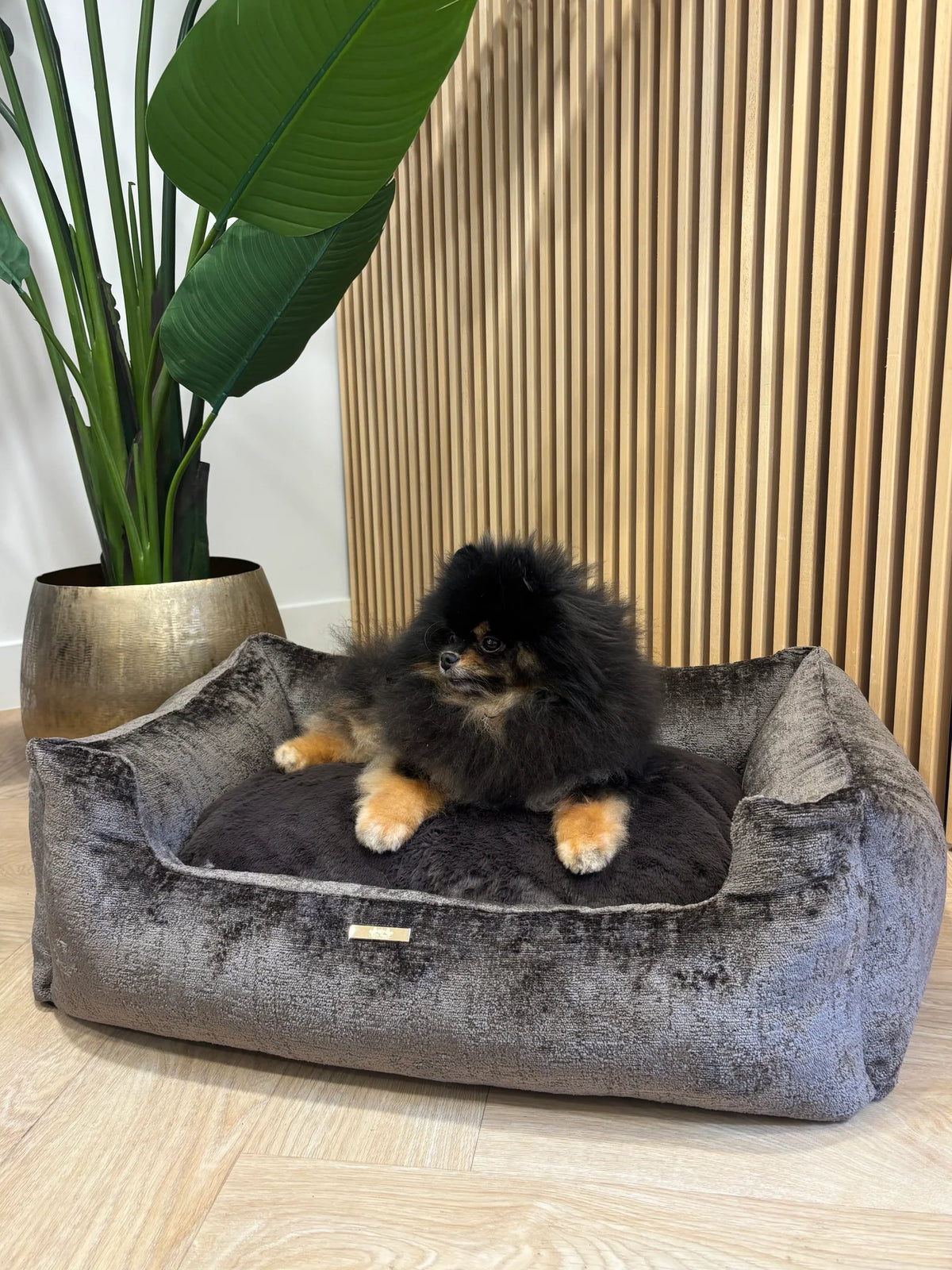 Elite Puppy Samt-Hundebett