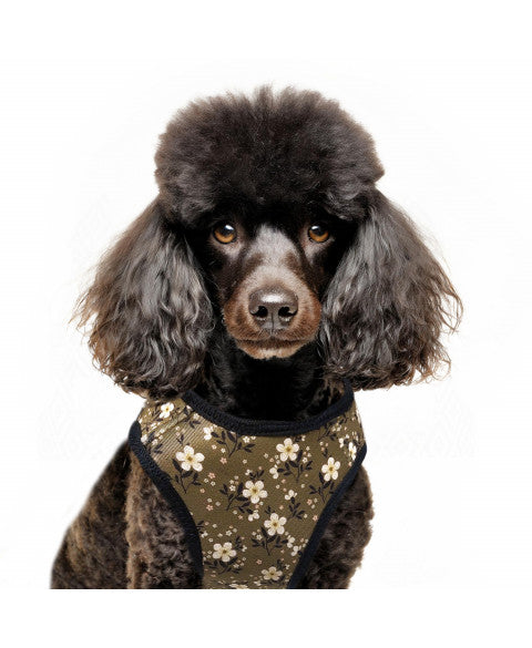 Milk & Pepper Bethany Hundegeschirr