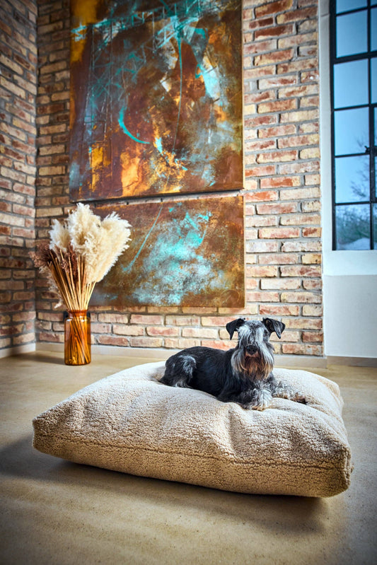Laboni Teddy Hundekissen