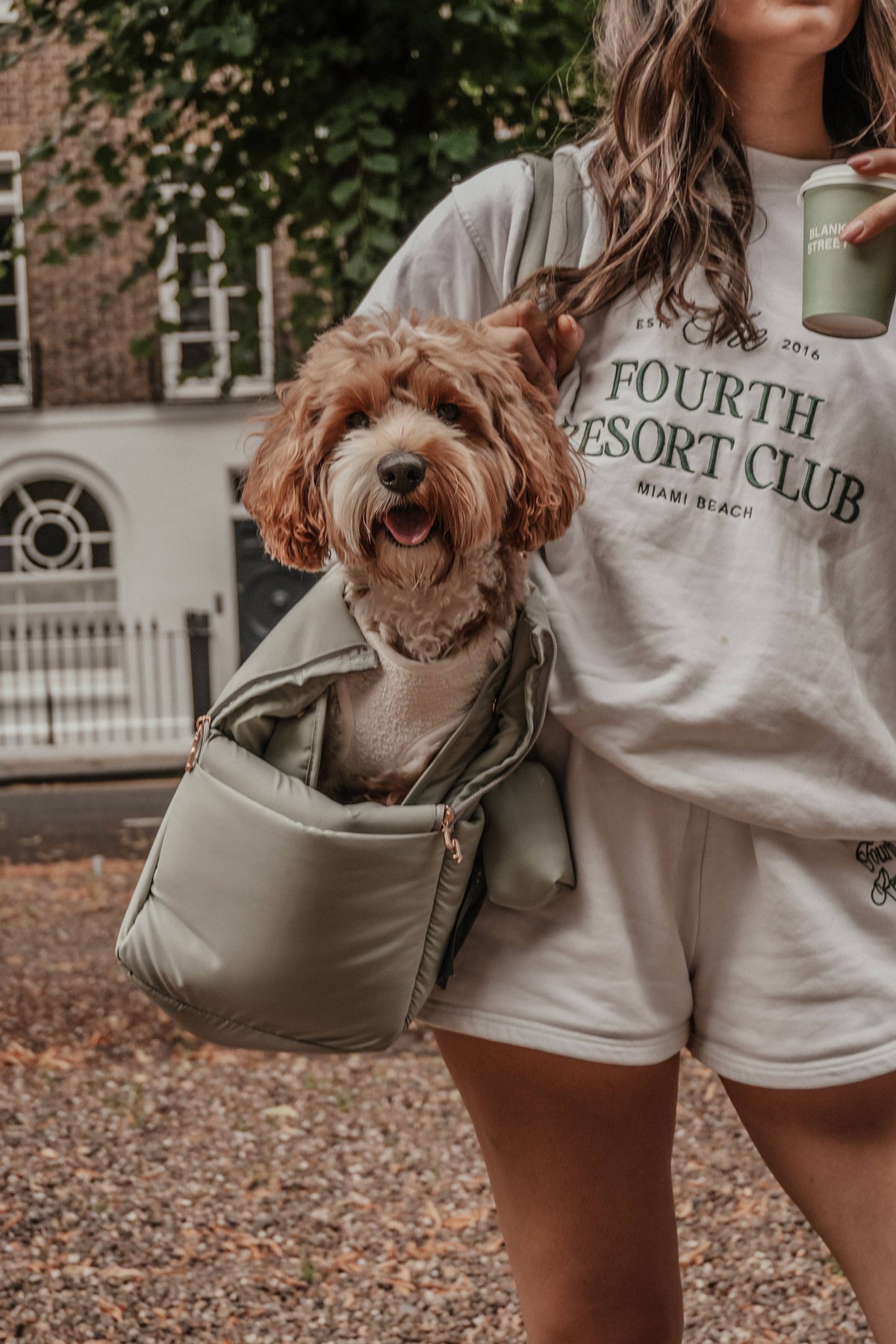 By Teddy The Puffer Carrier Matcha - Hundetragetasche