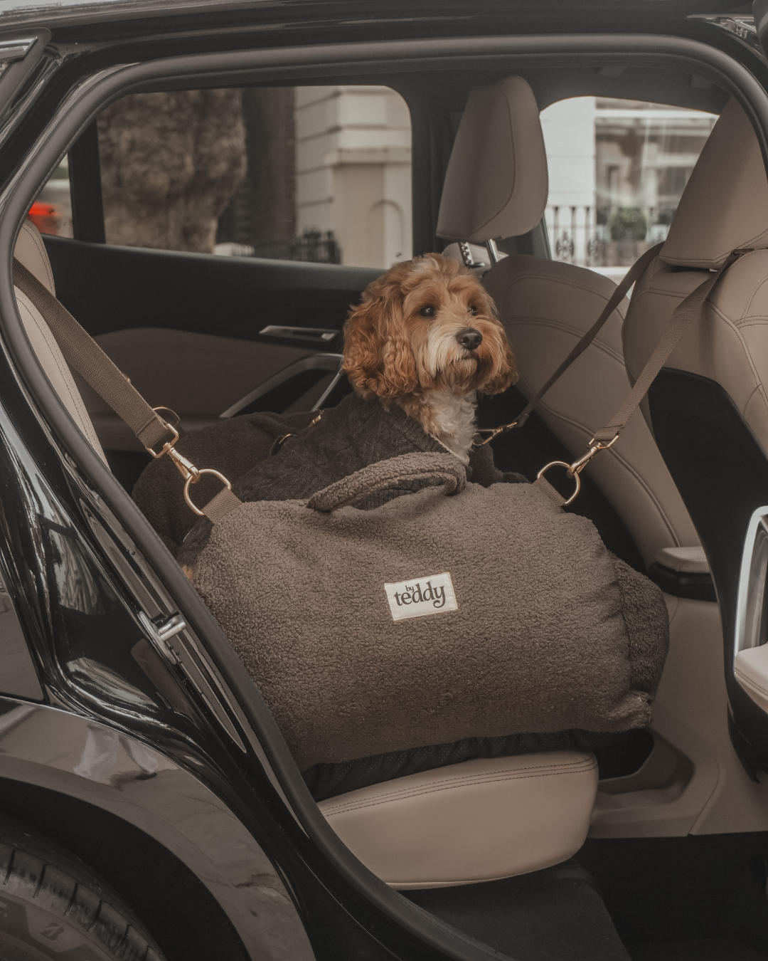 ByTeddy braune Cosy 3-in-1-Trage, Autositz und Schlafplatz