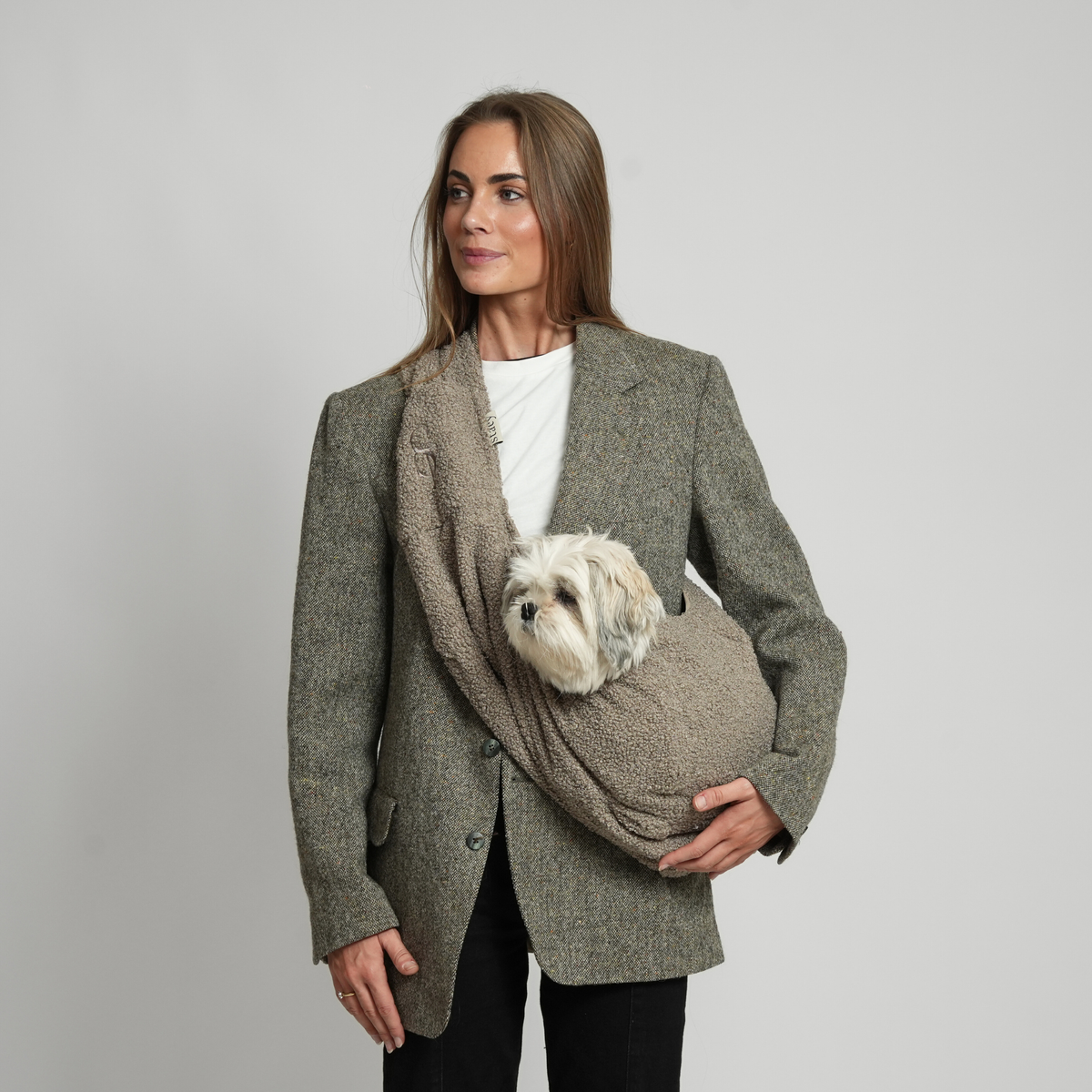 Staey Ava Hundetrage - Teddy