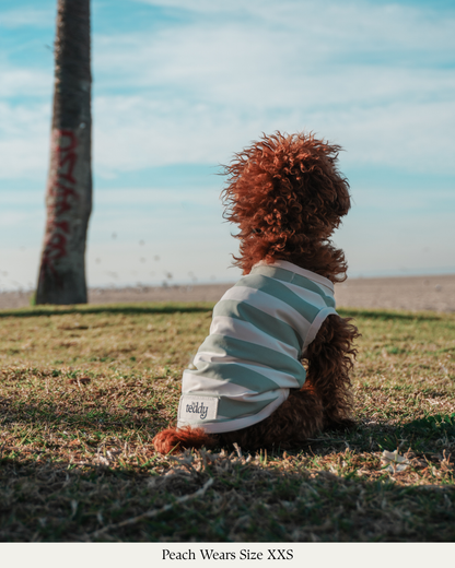 By Teddy Kühlweste für Hunde in Matcha