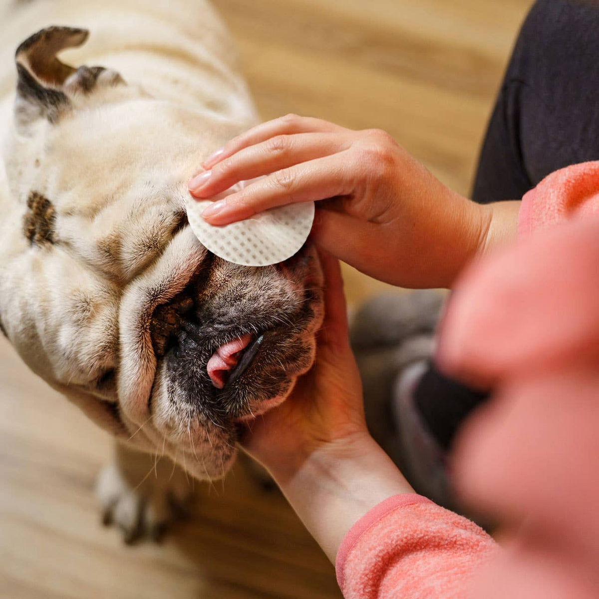Eye Envy Anti-Wrinkle Wet Wipes for Bulldog Dogs